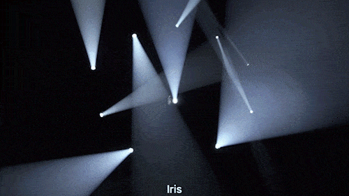 Iris-(ENZO)