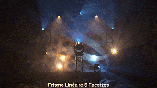 Prisme Linéaire 5 Facettes-(ENZO)