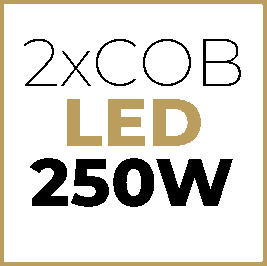 LED COB2X250W